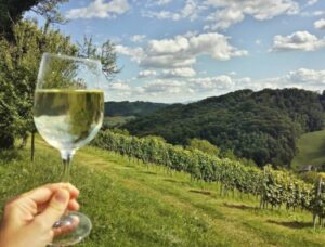copanjek vina