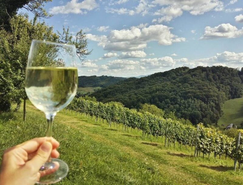 copanjek vina